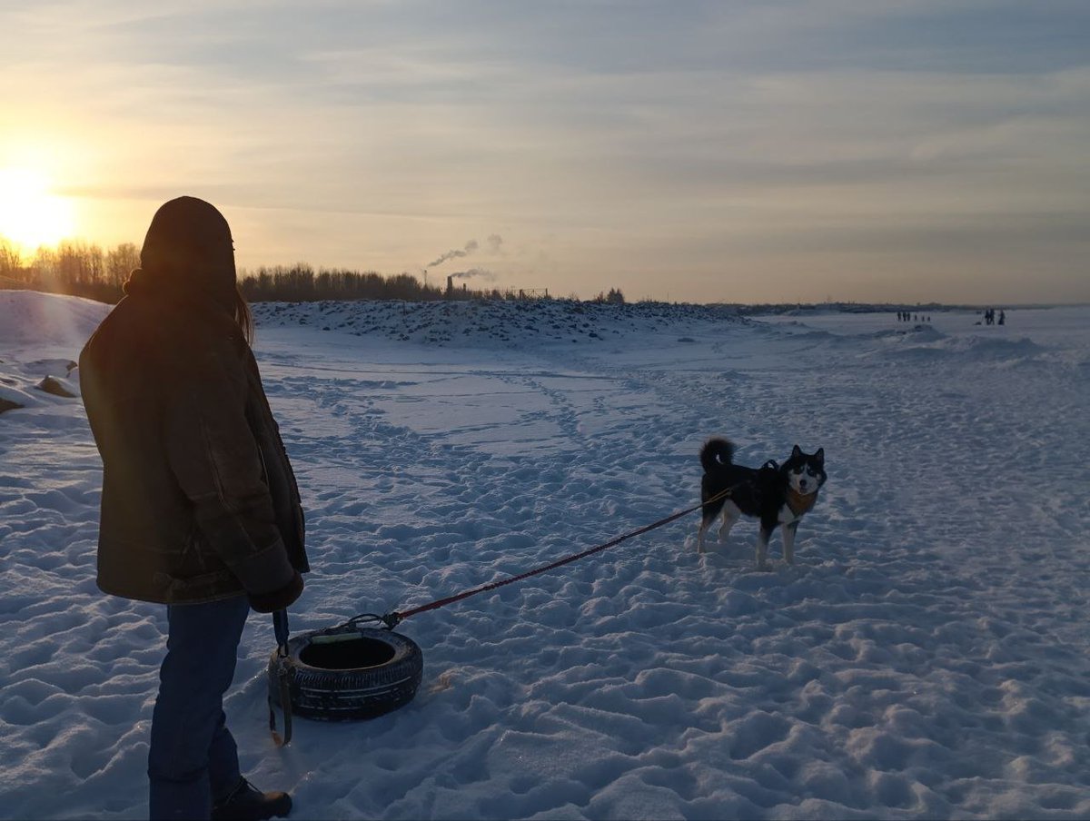 Джедай на отходах tweet media