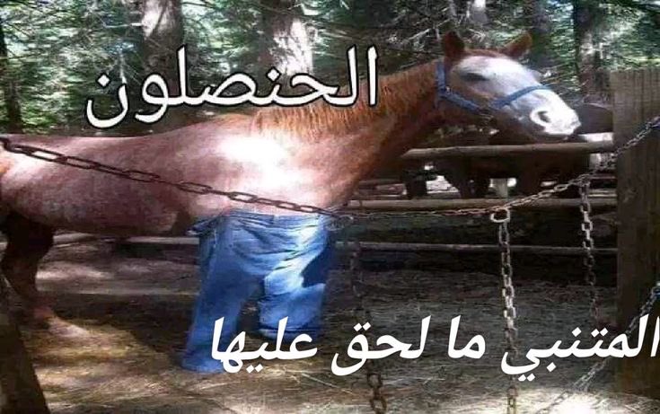 جوديث ~ (@evankhill) on Twitter photo 