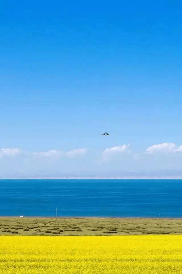 KercI Marex tweet media