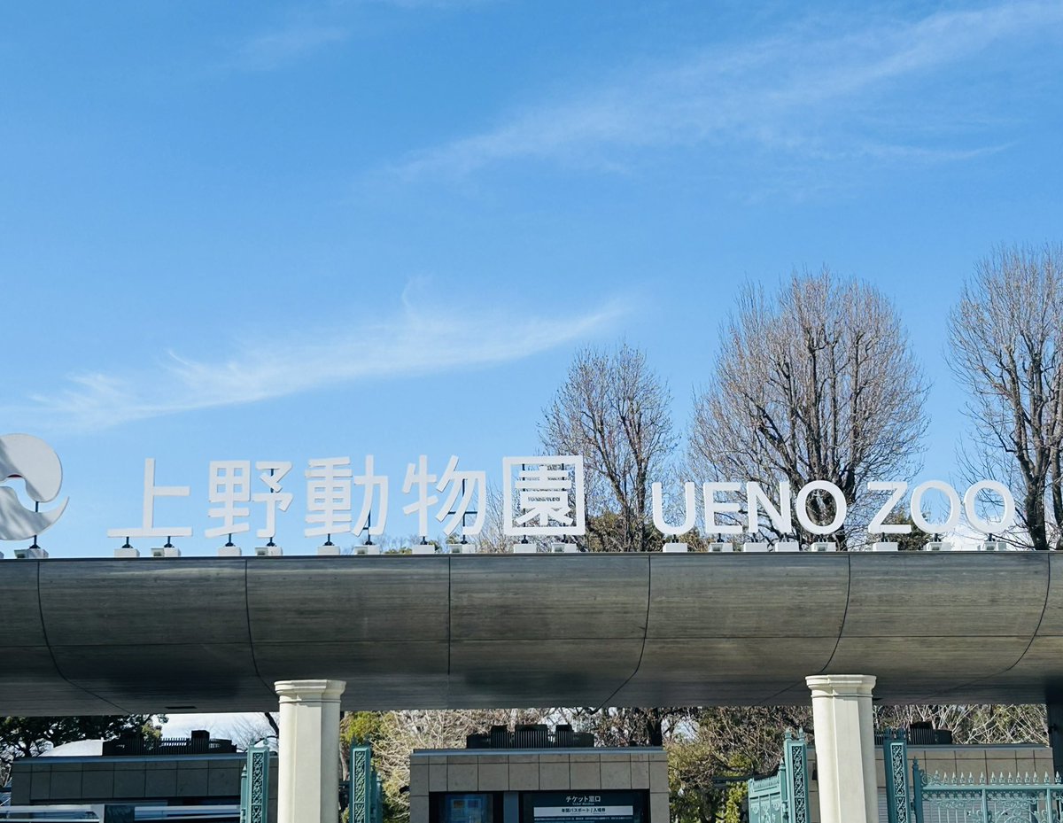 マツダ　ミノル（単行本発売中) tweet media