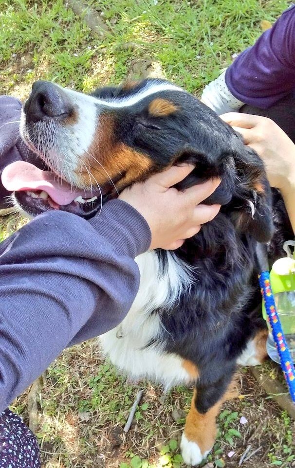 ここあ tweet media