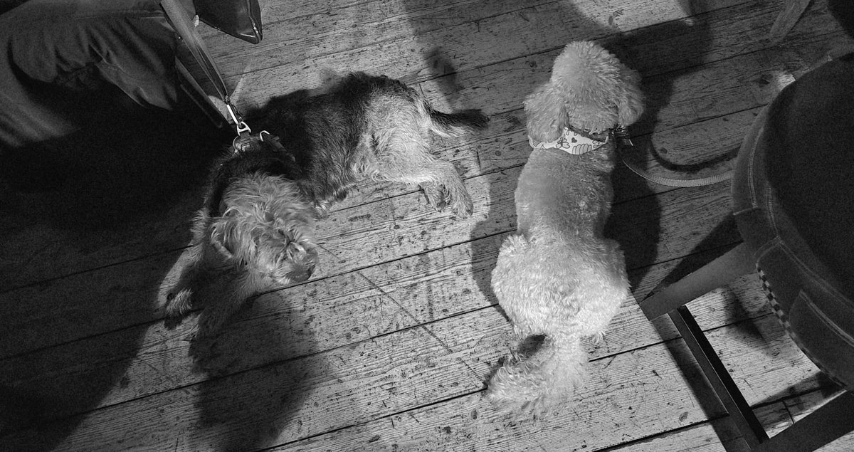 Out on the town last night with my good pal, GiGi. Went to a place called the Black Cat but thankfully, there weren’t any about…#BTPosse #Benedict ⁦⁦<a href="/revdlouisjj/">Louis Johnson</a>⁩