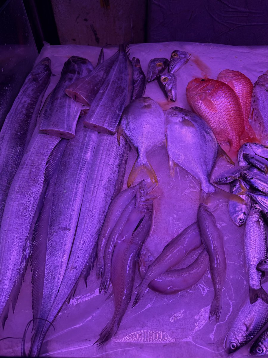 Kenji-san tweet media