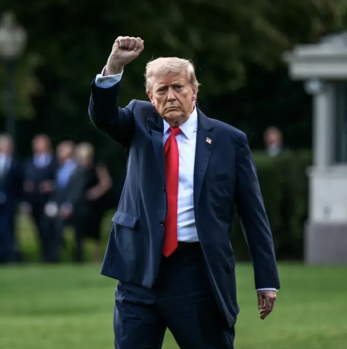 MAGA Voice tweet media