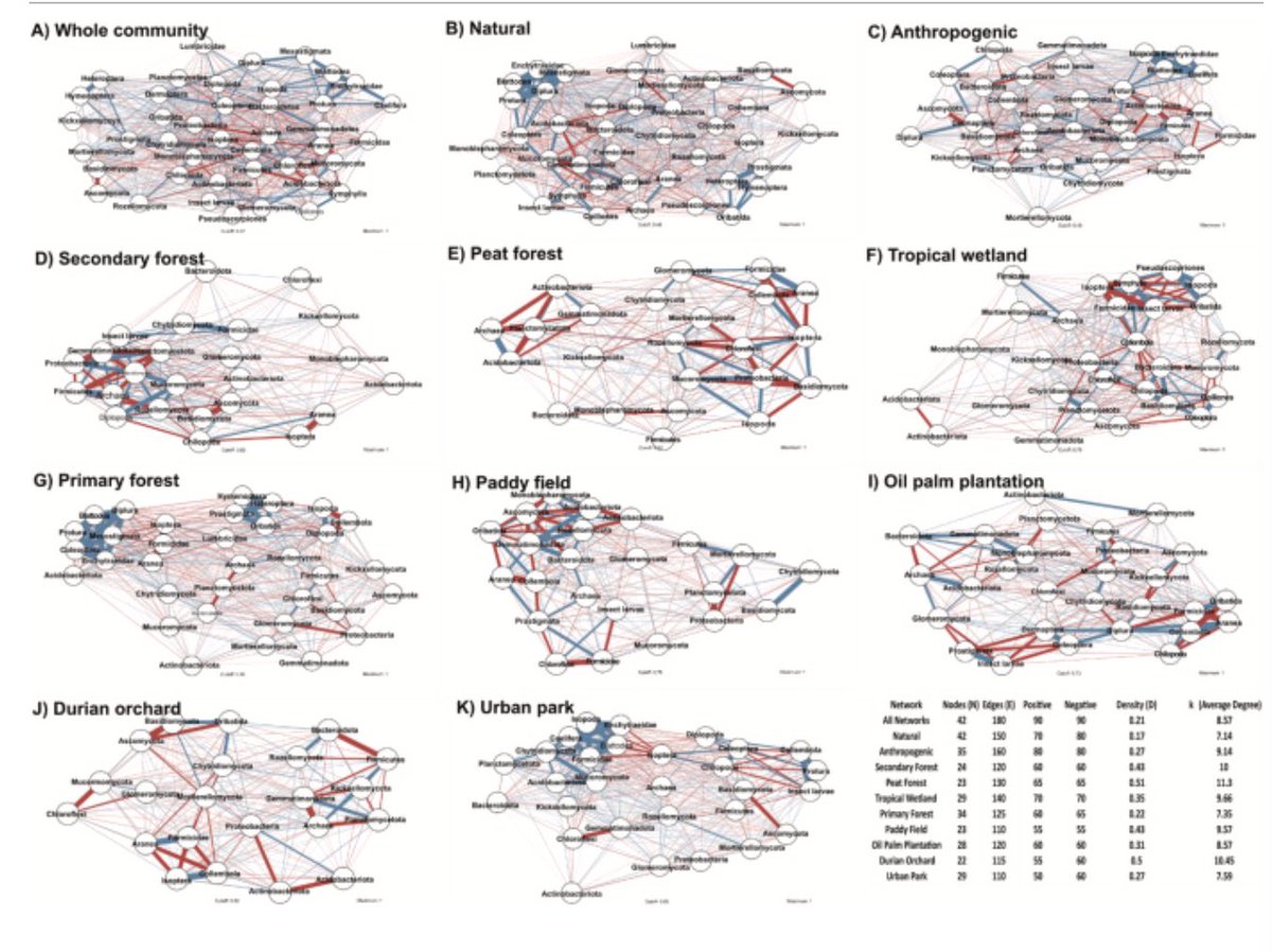 Alexandre Soares Rosado tweet media