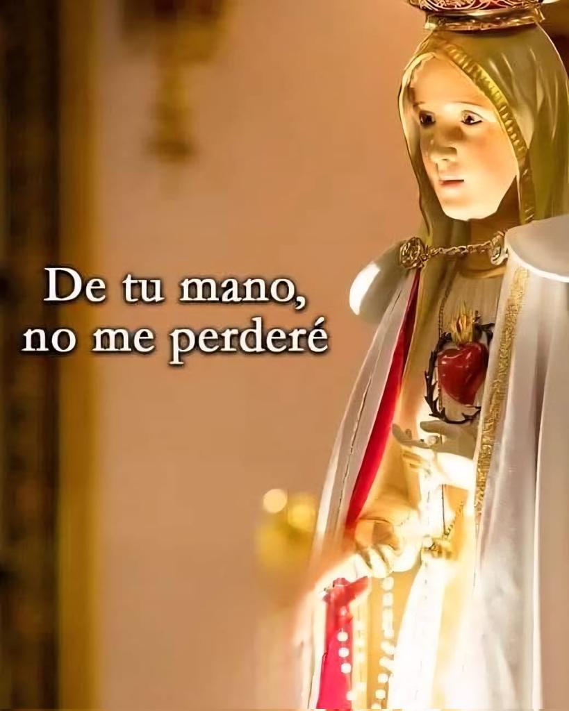 Hna. Esperanza tweet media