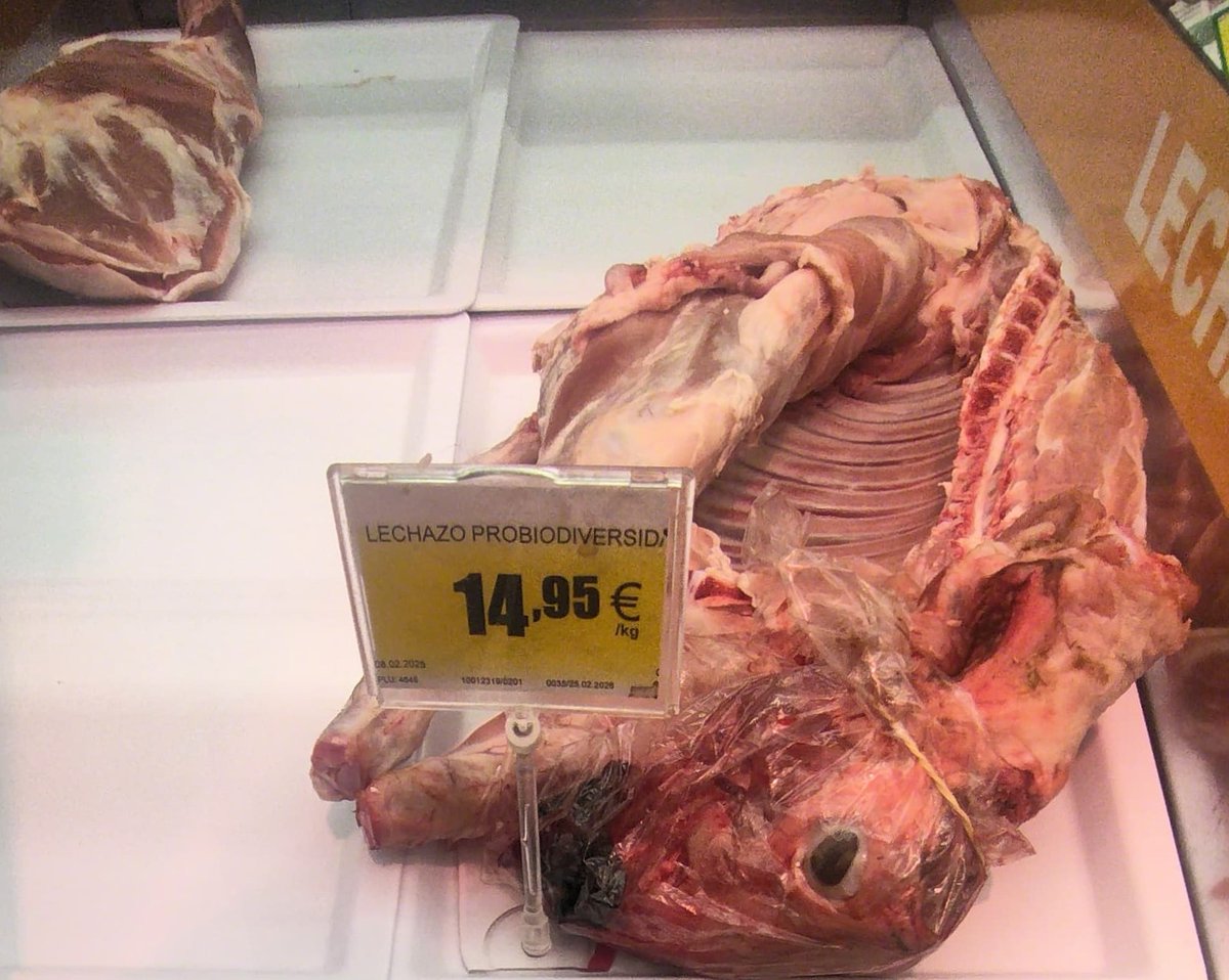 Ernesto Díaz tweet media