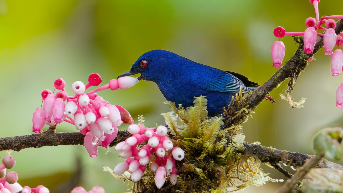 Caren Jahre tweet media