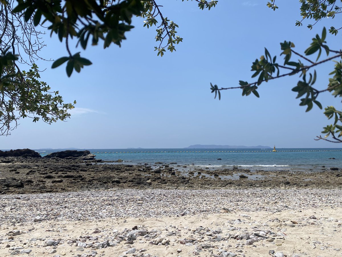 Q นักเดินทาง tweet media