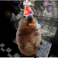 shung ♛ tweet media