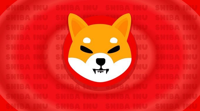 SHIB Mortal tweet media