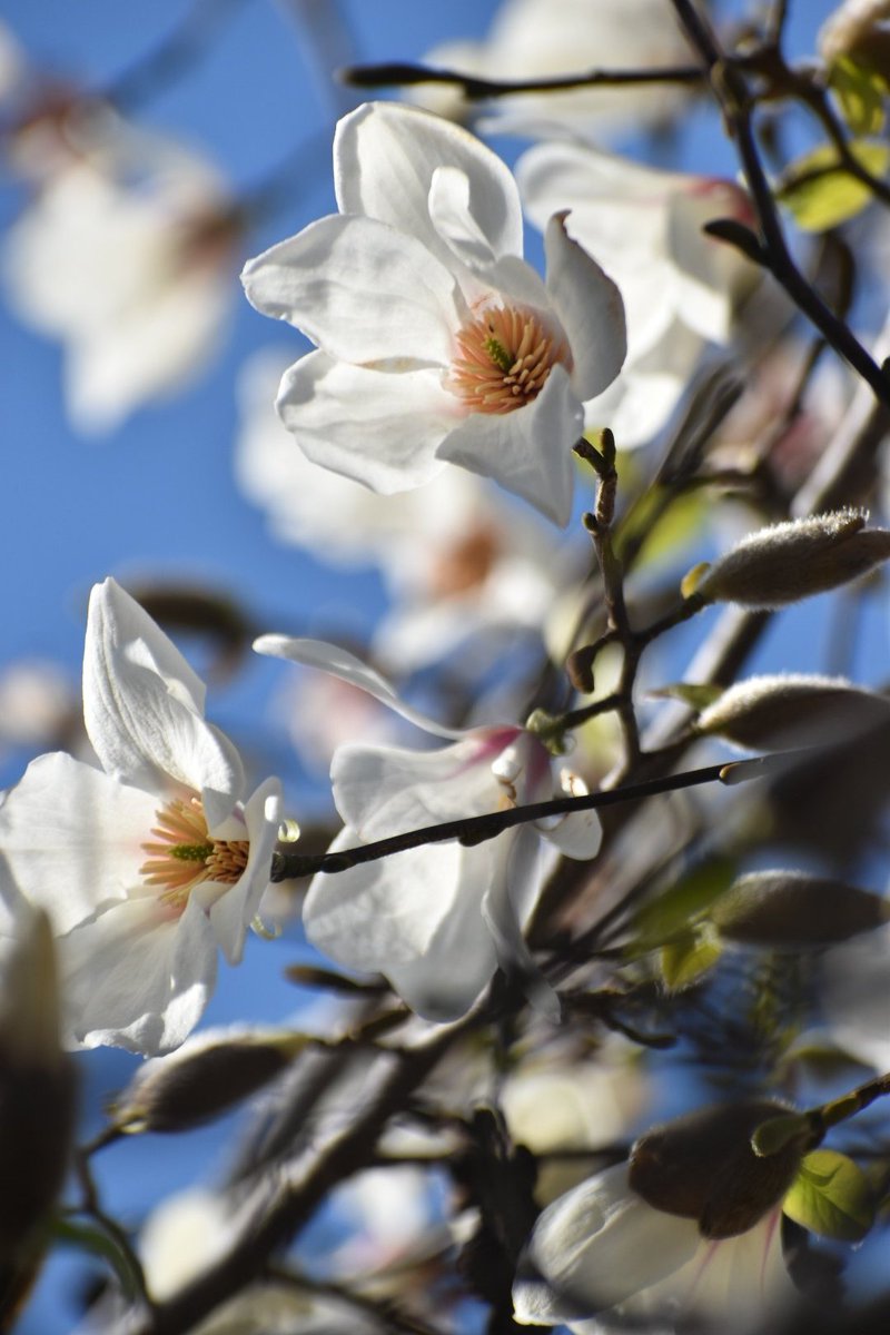 1gou（くくる） tweet media