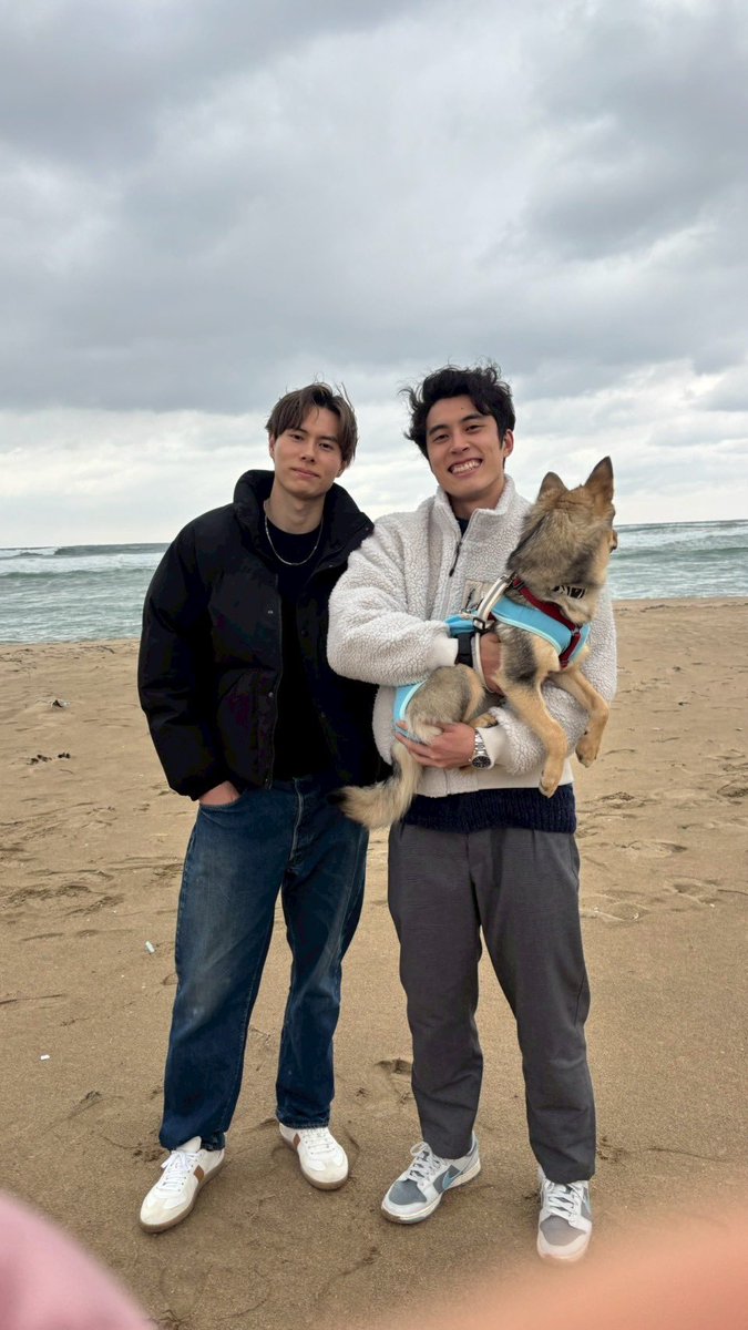 髙橋藍(Ran Takahashi) tweet media