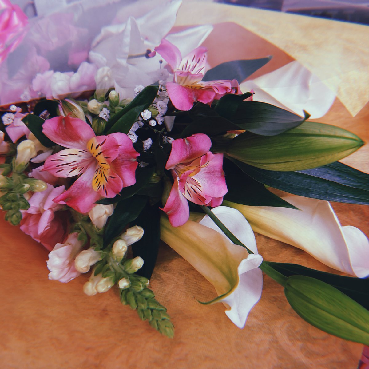 ✻*˸ꕤ*˸*⋆。✻*˸ꕤ*˸*⋆。✻*˸ꕤ*˸*⋆。