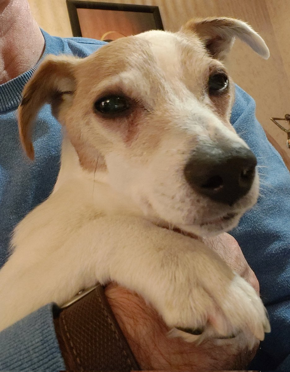 Thierry en~Liberté~✒️ tweet media