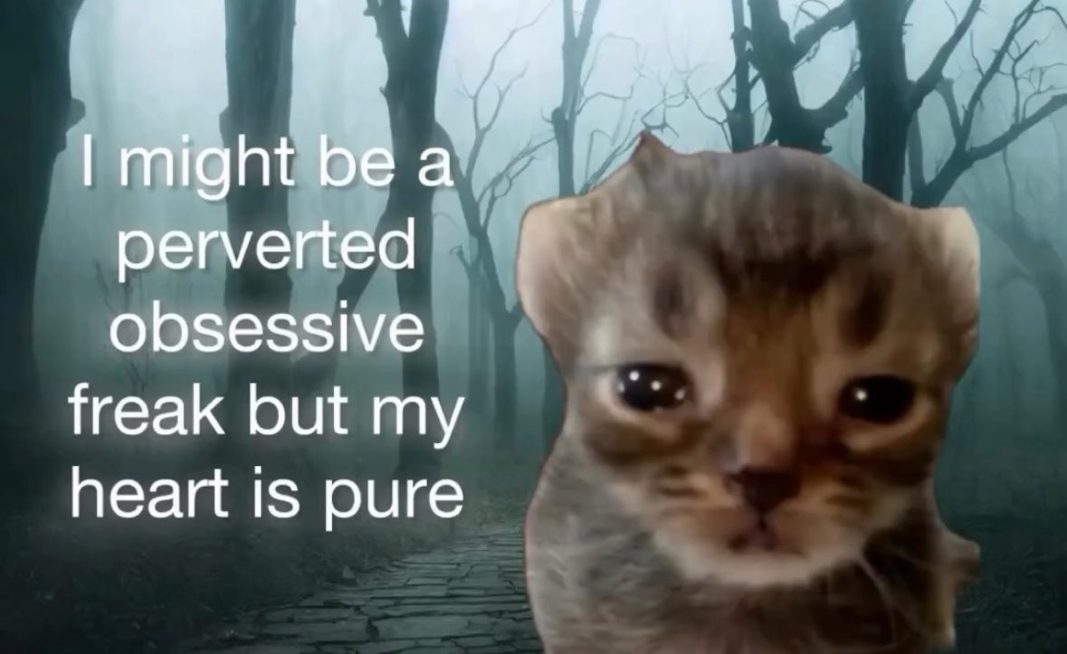 Out Of Context Animals (@animalscontexts) on Twitter photo 