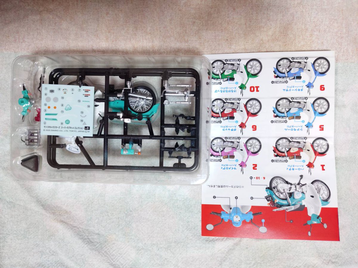 森川ゆあさ☆ tweet media