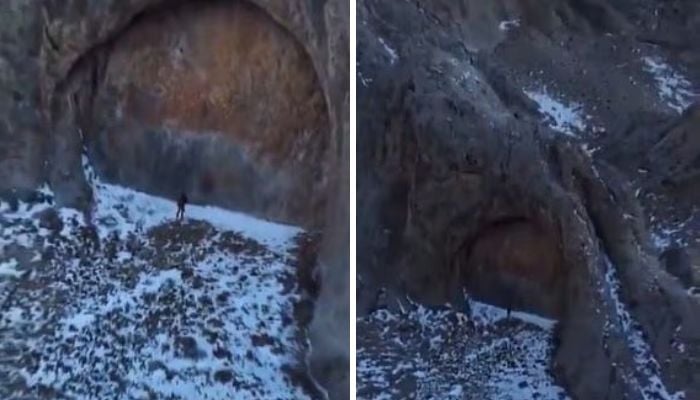 The Sci-Tech Guy tweet media