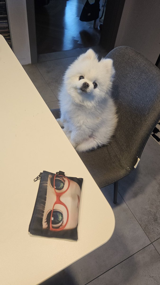 아니 나 오늘 지갑 잃어버린줄알고 패닉왔는데ㅠ
집에있던 견.
여깄개