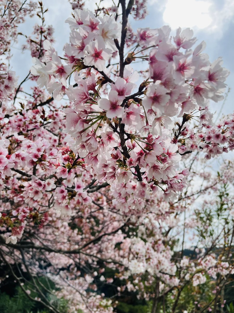 うどん🐇.⛄️ tweet media