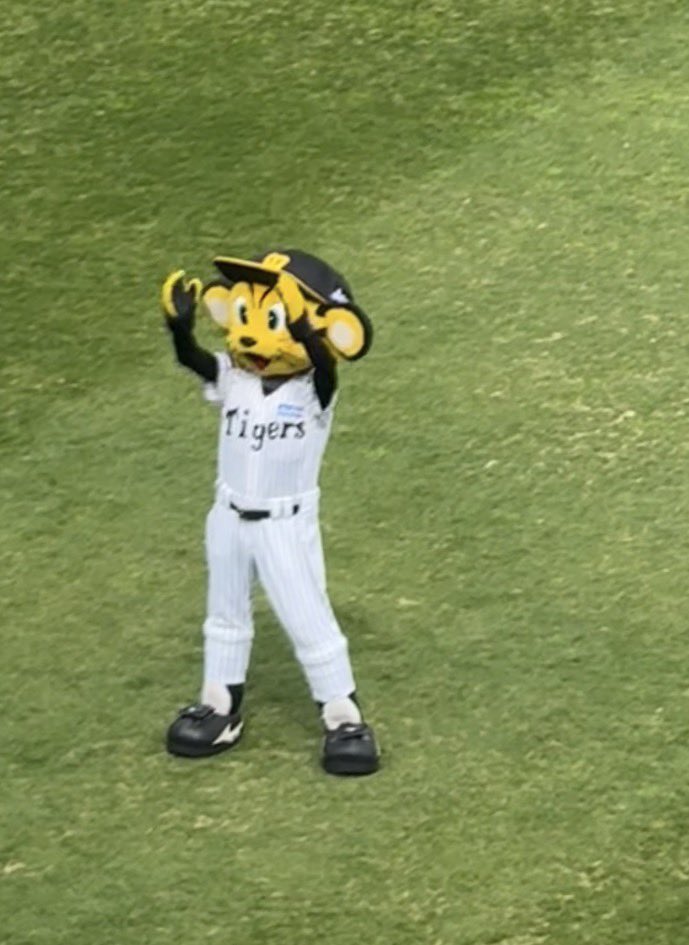 f3k1c's tweet photo. 野球⚾️
ようやく自分の存在感が出る季節になった https://t.co/3mLv91X83K
