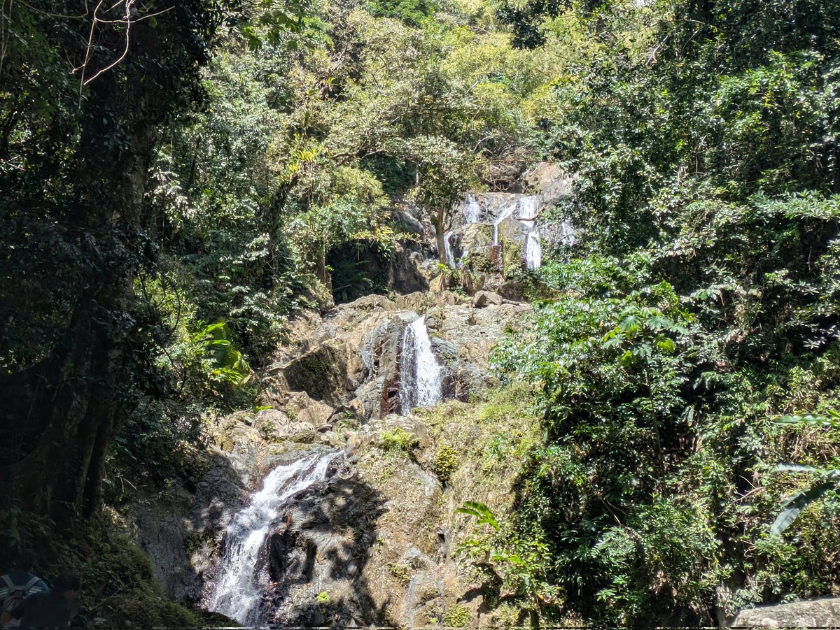 martgathercole's tweet photo. For #SlipperySaturday a walk up to the Argyle Falls in Tobago 🇹🇹 a rather lovely way to pass an hour or so🤗 https://t.co/4SgpqdZRkM