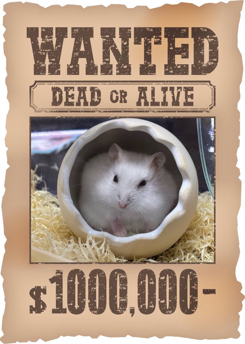 のえちま tweet media