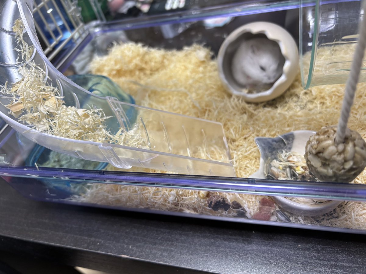 のえちま tweet media