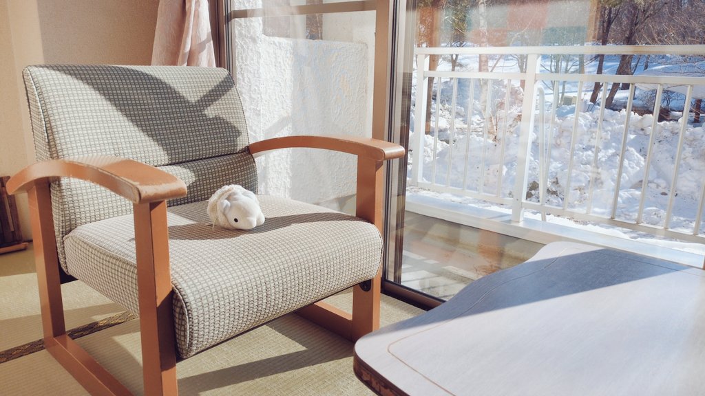 かわいいユキハミ tweet media