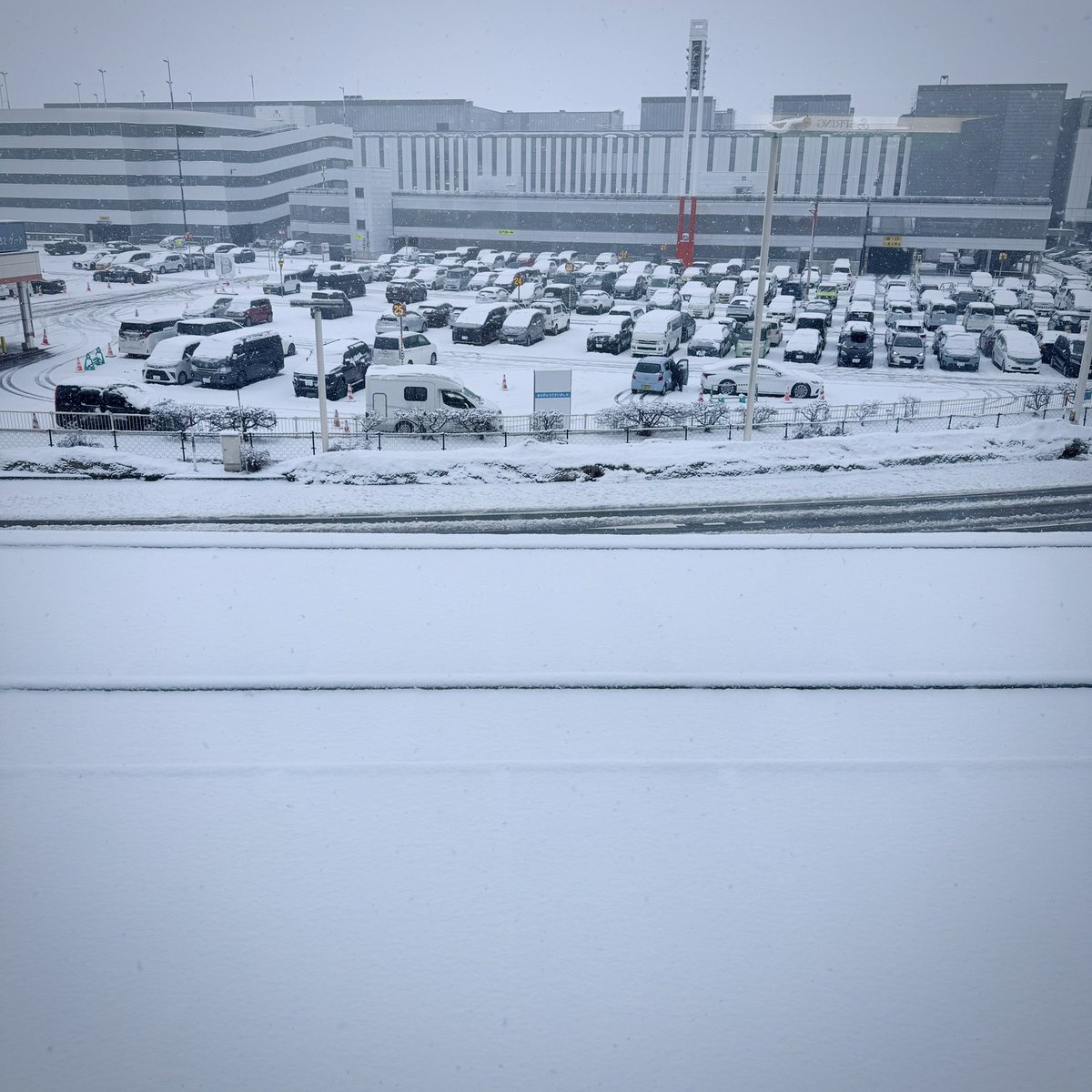 tybb5382's tweet photo. 大雪中离开北海道 https://t.co/FtXO9ua9MV
