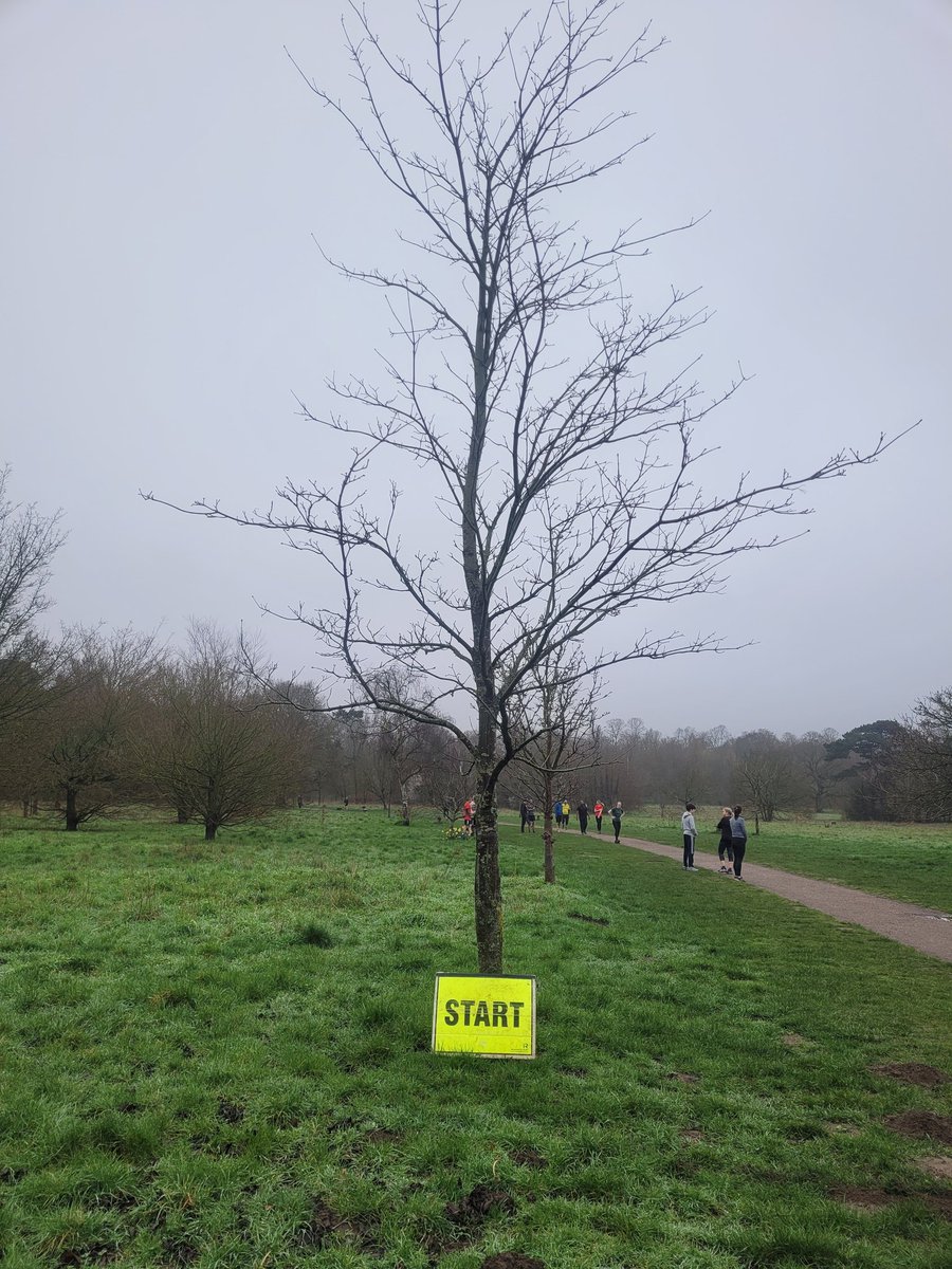 Steven Clarke tweet media