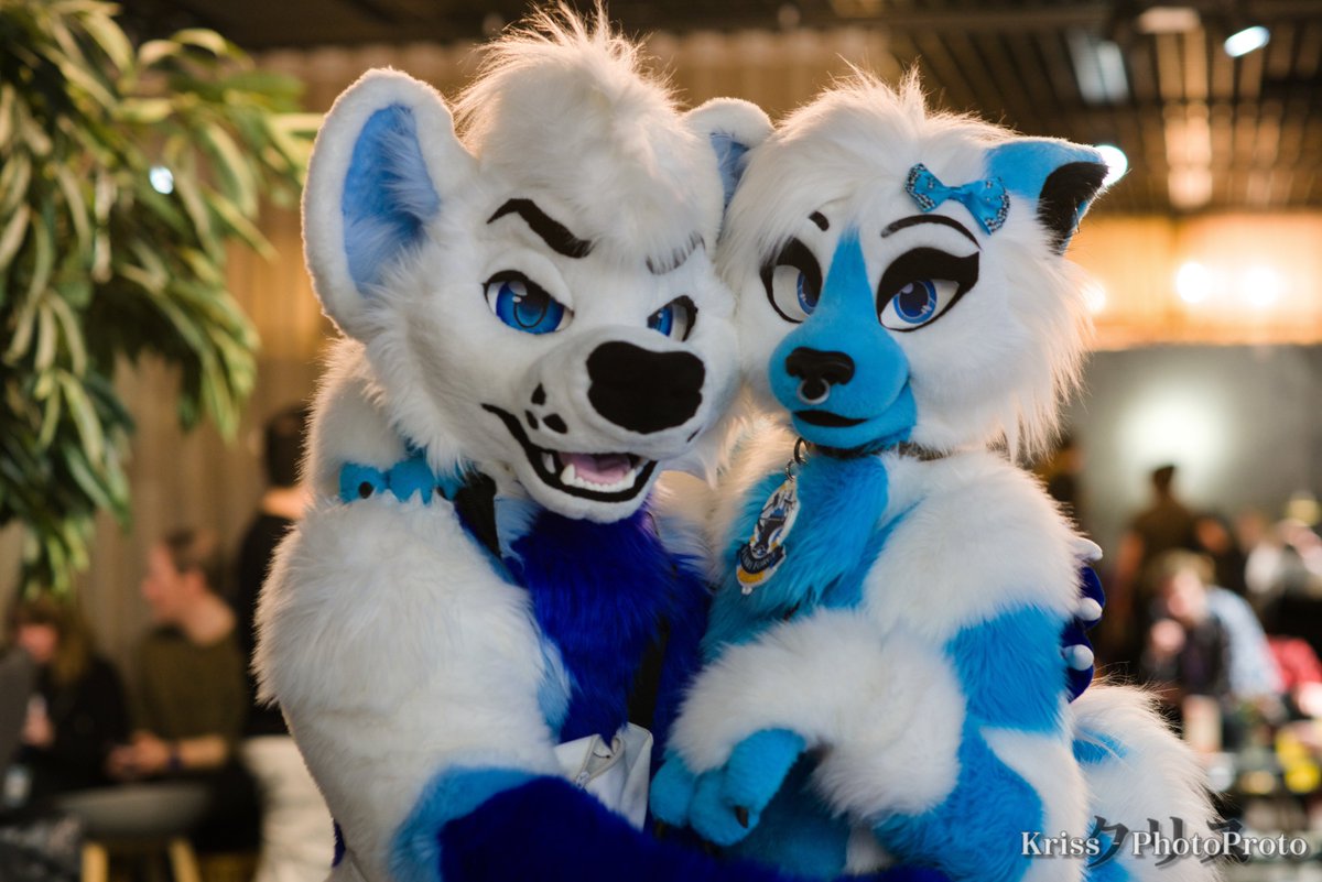 Djem - 🐺 - 🇪🇺 tweet media