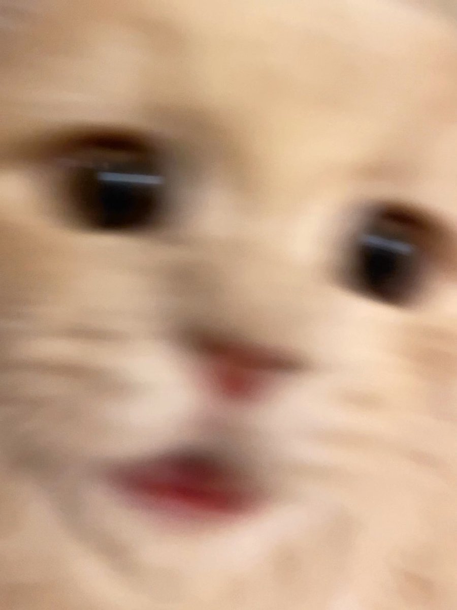 どこどこどこ！！！？
