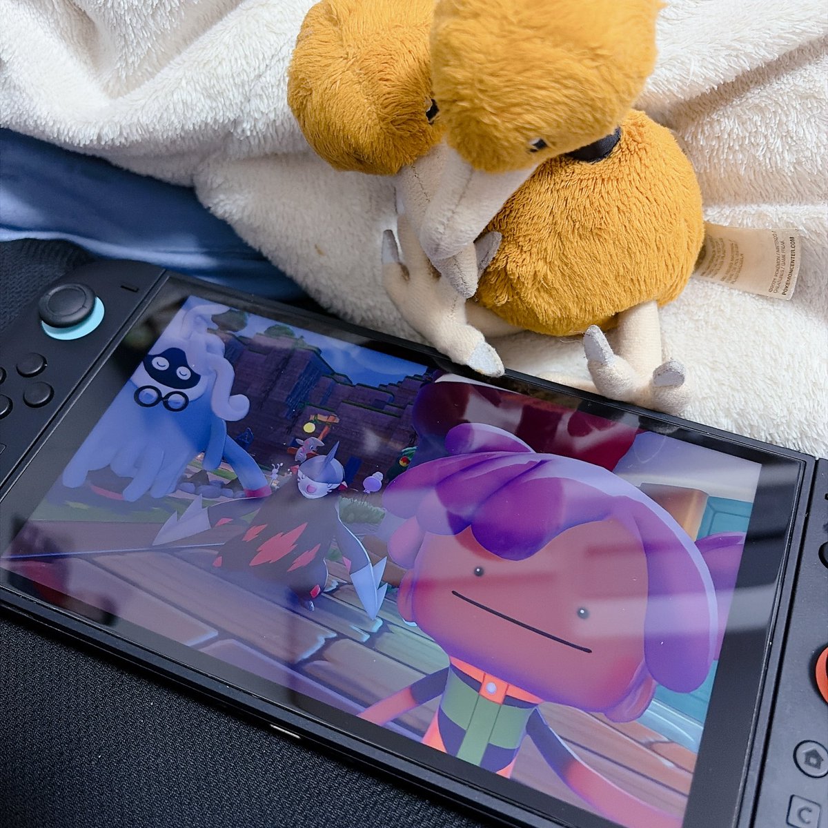 ひきこもドードー tweet media