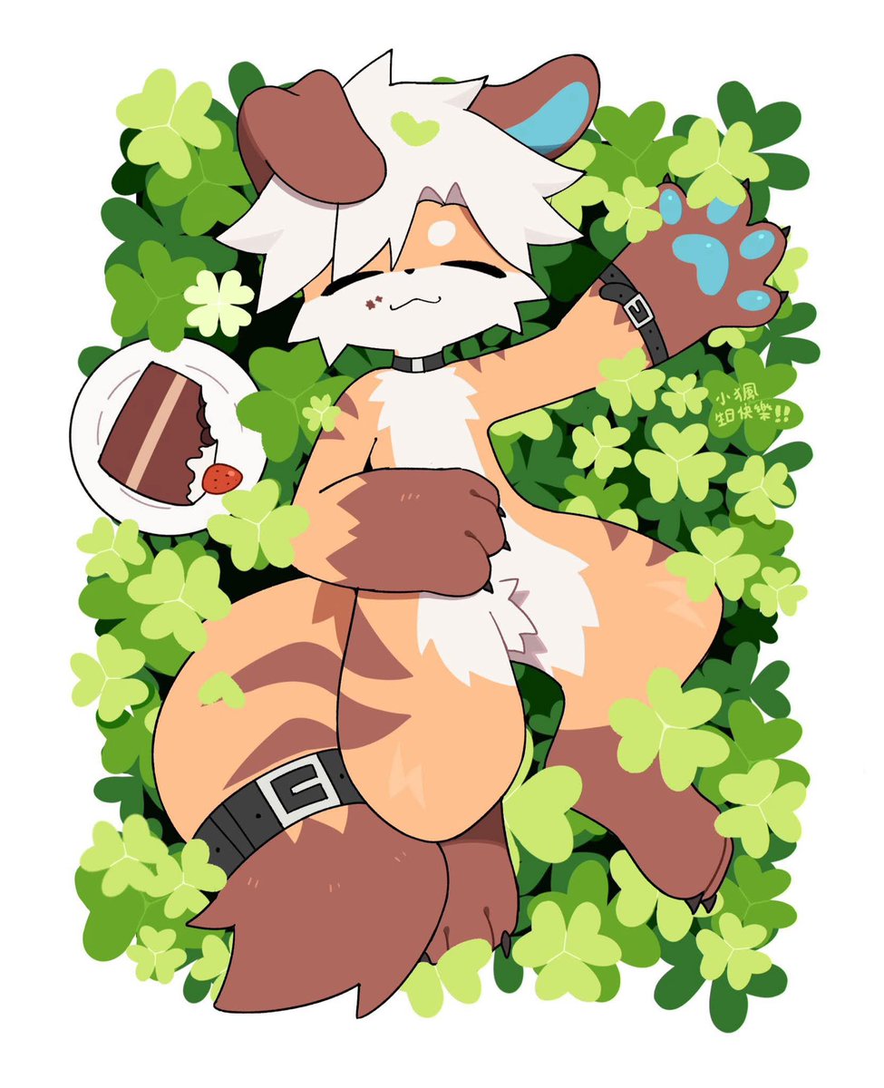 猦C➡️ HF tweet media