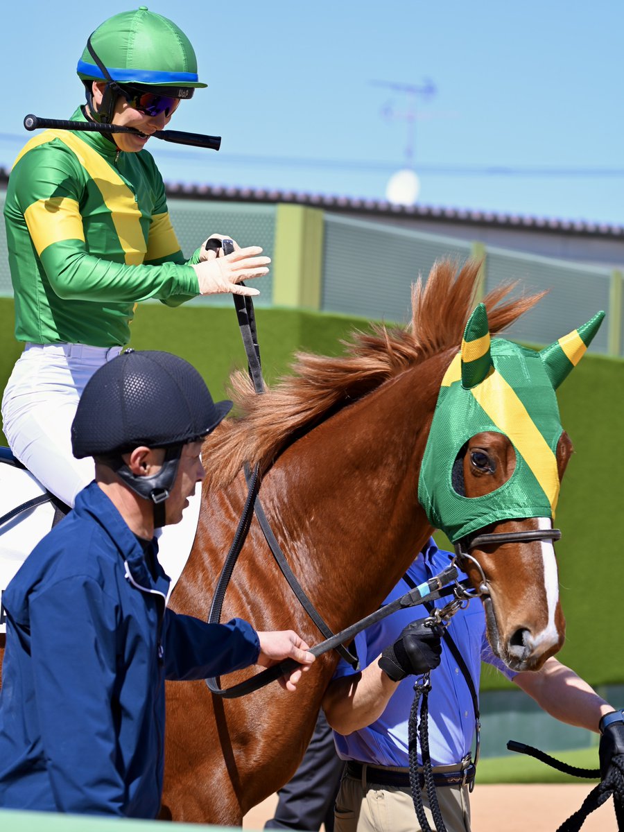 しろうま厩舎 (@shiroumakyusya) / Posts / X