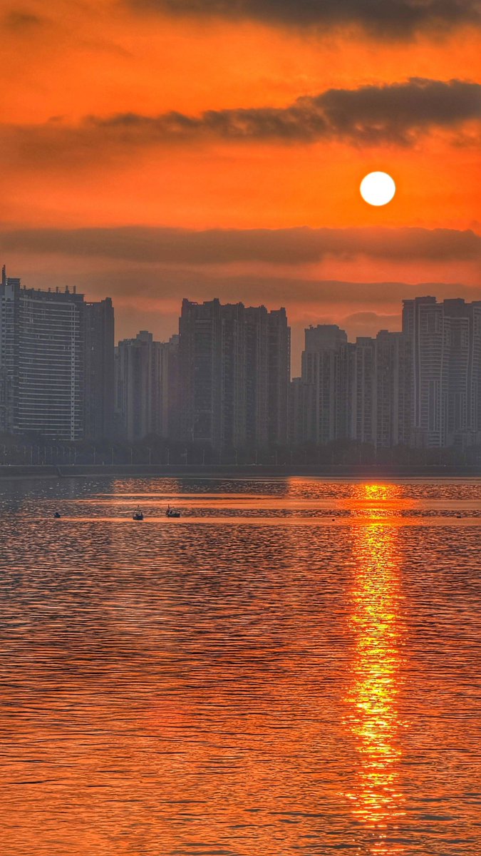 "Oren Elbaz " • Trading Advisor tweet media