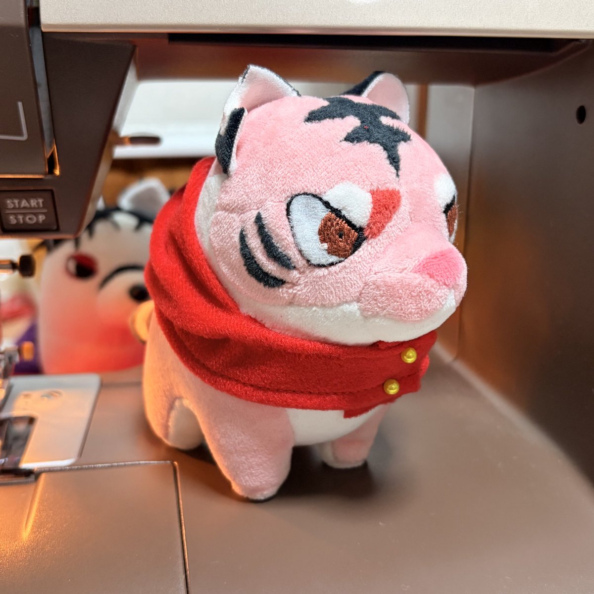 膝蓋骨 tweet media