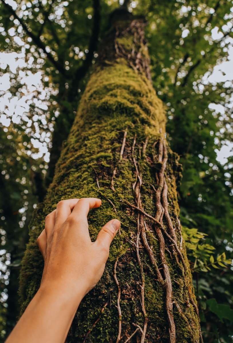 TurismoFVG tweet media