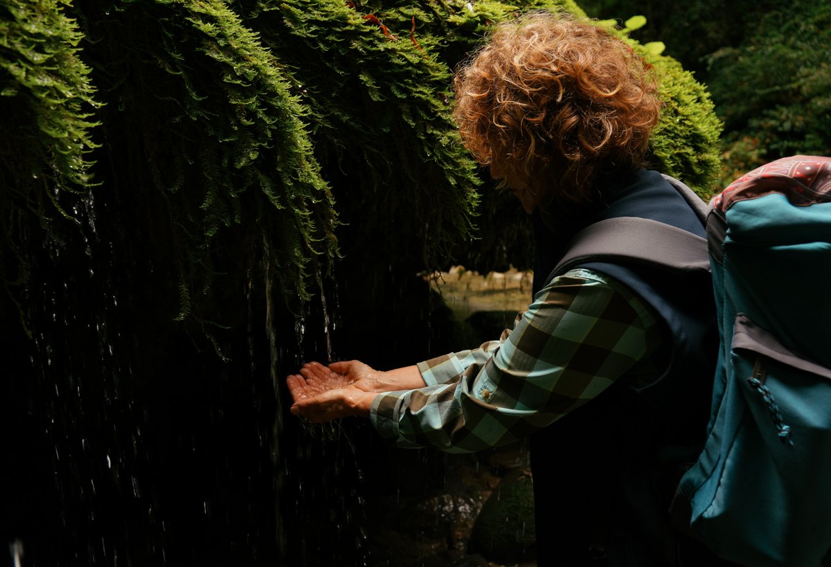 TurismoFVG tweet media