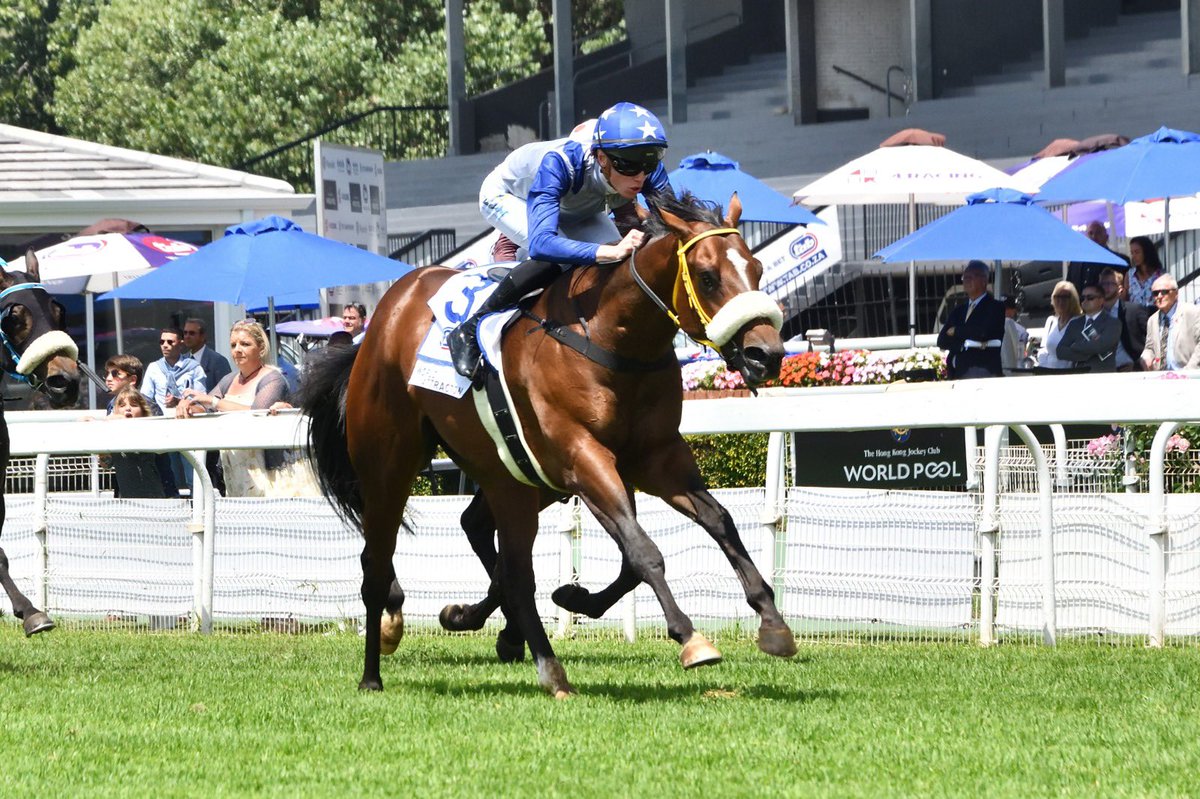 Di de Kock tweet media