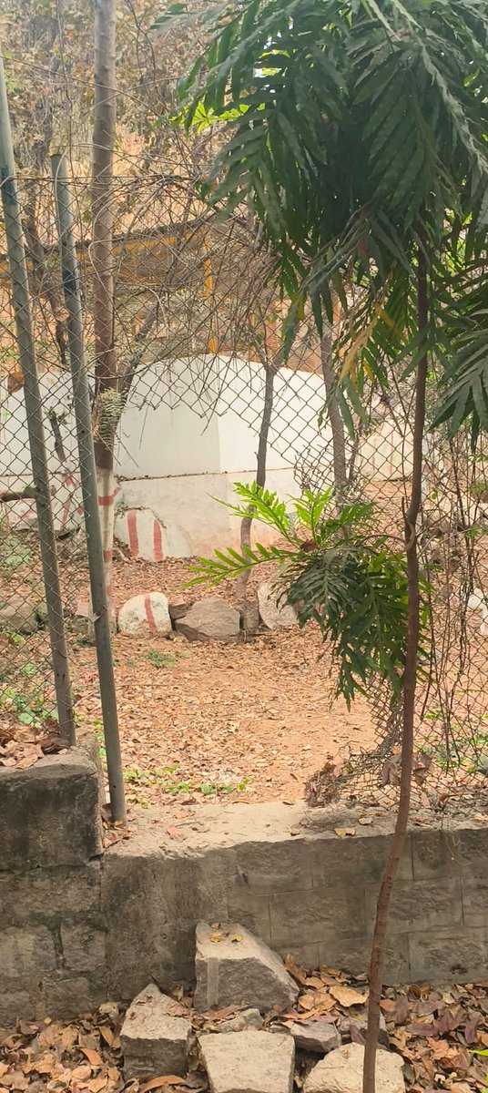 Mohammed Saleemuddin Khan tweet media