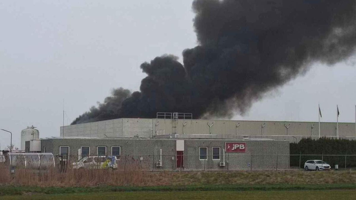 De Telegraaf tweet media