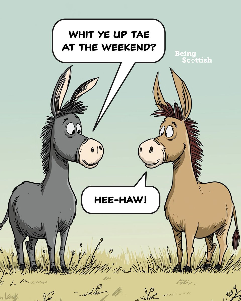 Being Scottish tweet media