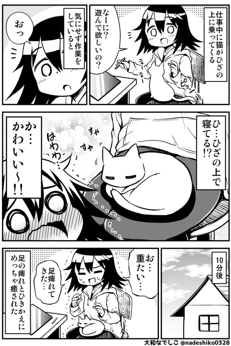 猫が可愛すぎて動けなくなった 