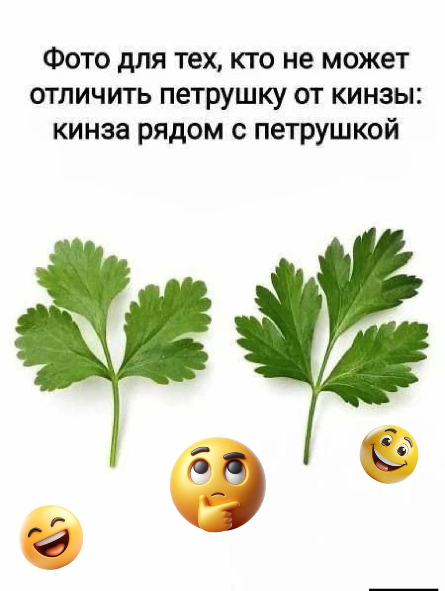 Всем понятно?🙃