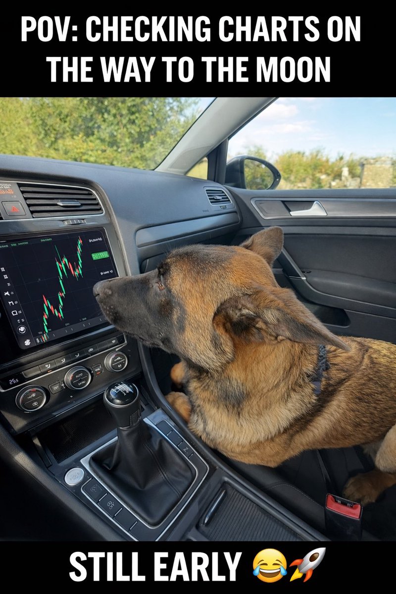 Luna 🐕 Solana’s Lunatix tweet media