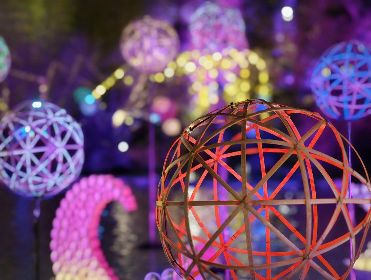 しれんと tweet media