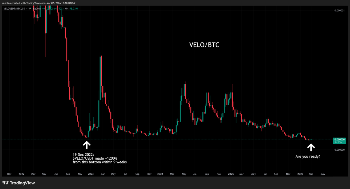 CASTIFAO  tweet media