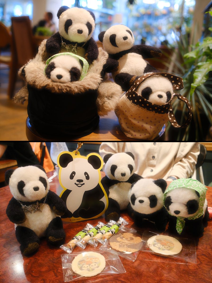 ふともも手帖 tweet media